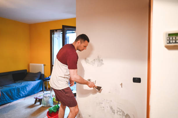 Best Crawl Space Mold Remediation in Hillsville, VA